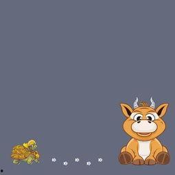 猪牛吃瓜,田园生活中的和谐趣事