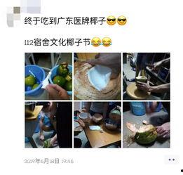 钓鱼吃瓜的视频,揭秘钓鱼与吃瓜的趣味生活