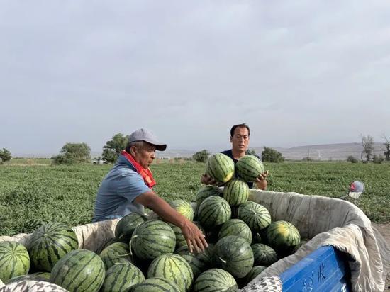 19年邢台吃瓜,一场全民围观的网络狂欢