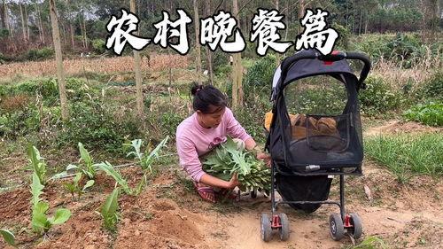 瓜熟了我去摘瓜吃,我的摘瓜美食之旅