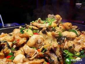 牛蛙吃小瓜,探寻牛蛙与小瓜的完美邂逅