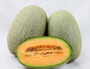 金凯瑞吃哈密瓜,金凯瑞的哈密瓜美食之旅