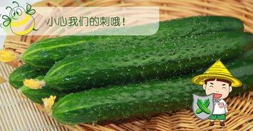 六瓣吃瓜,探寻传统美食的独特魅力