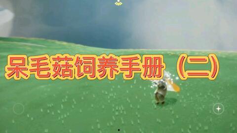 雨妈吃瓜,揭秘娱乐圈那些不为人知的幕后故事