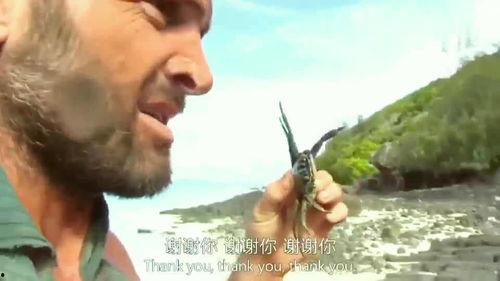 德爷吃野瓜,野瓜盛宴，挑战味蕾极限