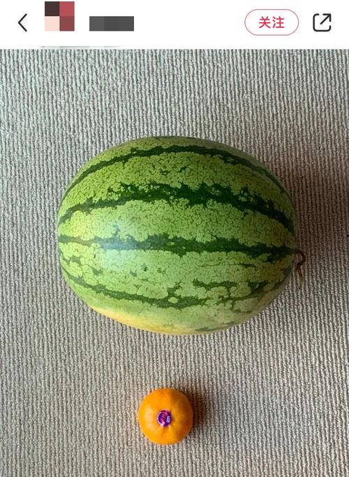 全球资讯吃瓜,吃瓜群众眼中的热点事件大盘点