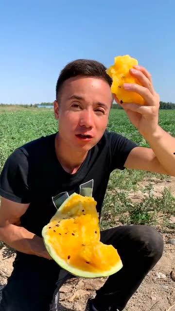 吃瓜故事爽瓜,爽瓜故事里的吃瓜盛宴