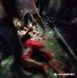 涡阳吃瓜视频,揭秘当地特色美食背后的故事