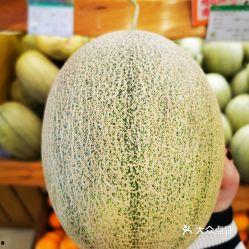 星言蜜瓜怎么吃,解锁夏日清新美味的多重食用指南