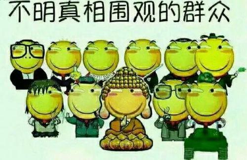 吃瓜群众胸针,揭秘时尚界的神秘魅力