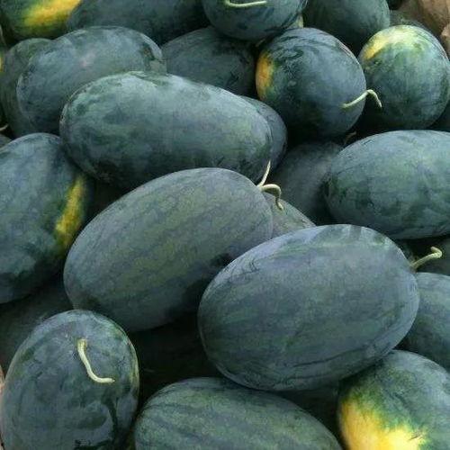 看瓜的吃瓜的,看瓜群众与吃瓜者的欢乐盛宴