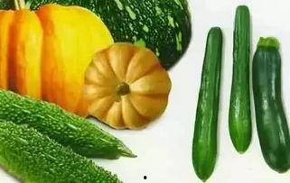 怨种吃瓜,揭秘网络热议背后的真相与反思