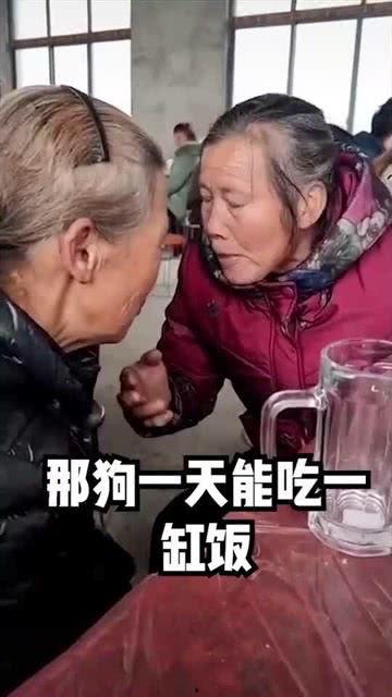 p爷吃大瓜,揭秘娱乐圈幕后风云