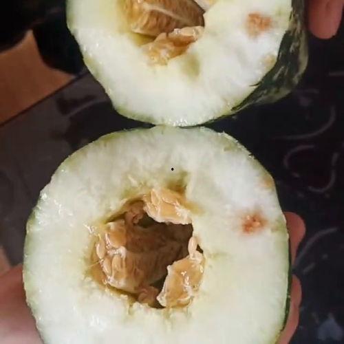 朋友不让吃瓜,拥抱宁静——拒绝吃瓜，守护心灵净土