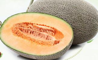 吃哈密瓜喉咙恶心,揭秘背后的原因