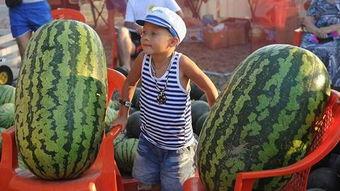 这才是吃瓜高手,这才是真正的吃瓜高手!