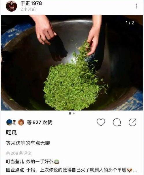 赵露思吃瓜文章,揭秘娱乐圈背后的真相与争议