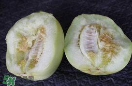 吃瓜直播瓜呱籽,揭秘吃瓜直播背后的秘密与魅力