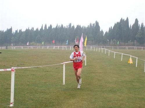 星全运会吃瓜教学,吃瓜群众变身教育新势力